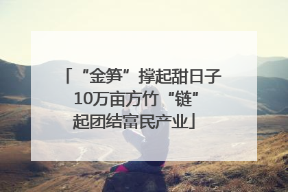 “金笋”撑起甜日子 10万亩方竹“链”起团结富民产业