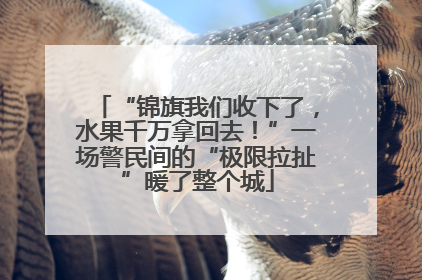 “锦旗我们收下了，水果千万拿回去！”一场警民间的“极限拉扯”暖了整个城