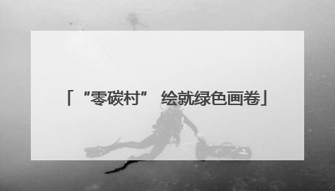 “零碳村” 绘就绿色画卷