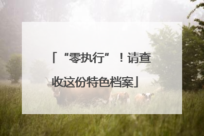 “零执行”！请查收这份特色档案