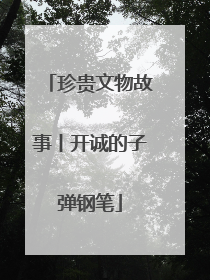 珍贵文物故事丨开诚的子弹钢笔