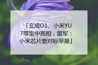 玄戒O1、小米YU7等集中亮相，雷军：小米芯片要对标苹果