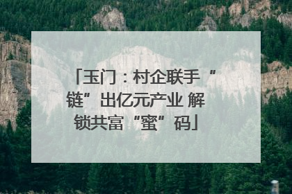 玉门：村企联手“链”出亿元产业 解锁共富“蜜”码