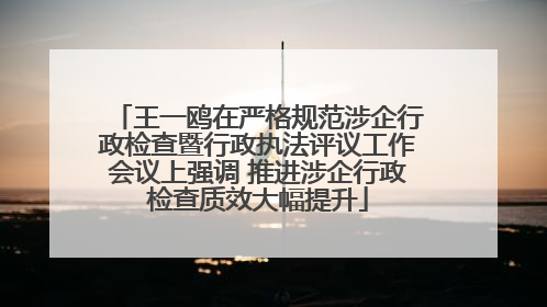 王一鸥在严格规范涉企行政检查暨行政执法评议工作会议上强调 推进涉企行政检查质效大幅提升