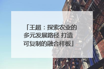 王超：探索农业的多元发展路径 打造可复制的融合样板