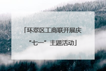 环翠区工商联开展庆“七一”主题活动