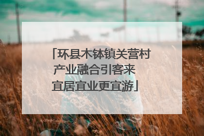 环县木钵镇关营村 产业融合引客来 宜居宜业更宜游