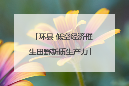 环县 低空经济催生田野新质生产力