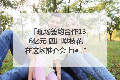 现场签约合作136亿元 四川攀枝花在这场推介会上画“图谱”列“清单”