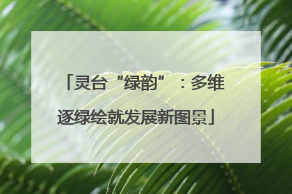 灵台“绿韵”：多维逐绿绘就发展新图景