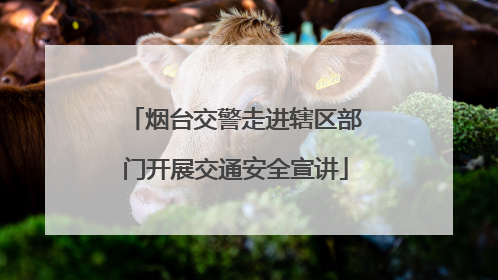 烟台交警走进辖区部门开展交通安全宣讲