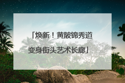 焕新！黄陂锦秀道变身街头艺术长廊