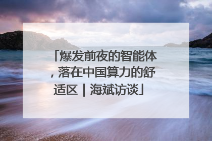 爆发前夜的智能体，落在中国算力的舒适区｜海斌访谈