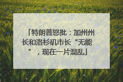 特朗普怒批：加州州长和洛杉矶市长“无能”，现在一片混乱