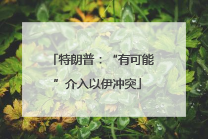 特朗普：“有可能”介入以伊冲突