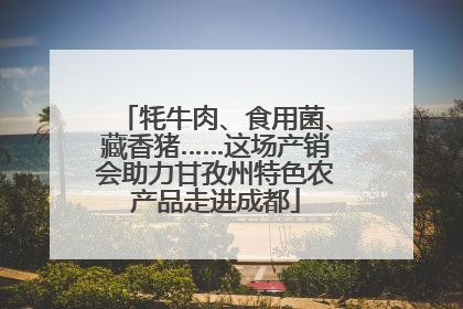 牦牛肉、食用菌、藏香猪……这场产销会助力甘孜州特色农产品走进成都
