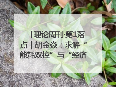 理论周刊·第1落点｜胡金焱：求解“能耗双控”与“经济增长”矛盾