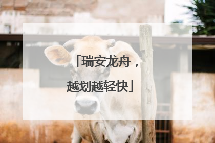 瑞安龙舟，越划越轻快
