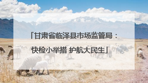 甘肃省临泽县市场监管局：快检小举措 护航大民生