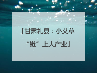 甘肃礼县：小艾草“链”上大产业