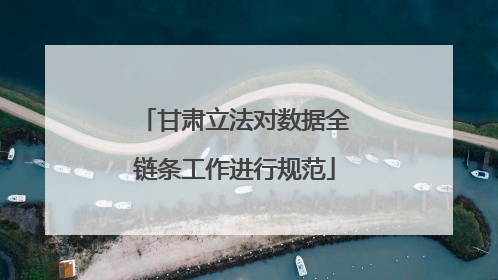 甘肃立法对数据全链条工作进行规范