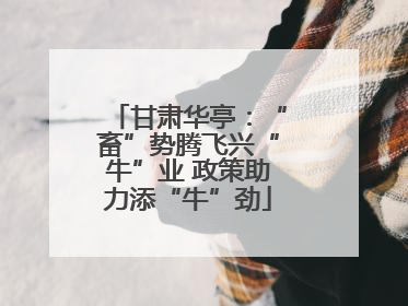 甘肃华亭：“畜”势腾飞兴“牛”业 政策助力添“牛”劲