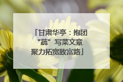 甘肃华亭：抱团“蔬”写菜文章 聚力拓宽致富路