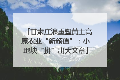 甘肃庄浪重塑黄土高原农业“新颜值”：小地块“拼”出大文章