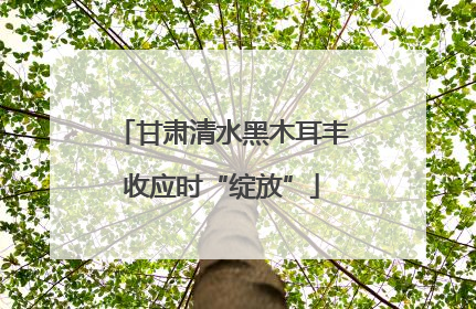 甘肃清水黑木耳丰收应时“绽放”