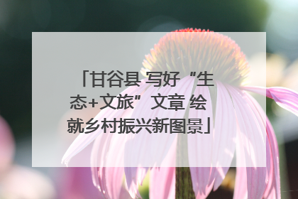 甘谷县 写好“生态+文旅”文章 绘就乡村振兴新图景