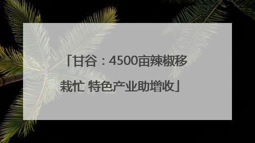 甘谷：4500亩辣椒移栽忙 特色产业助增收
