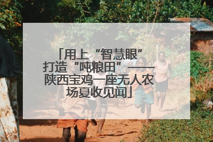 用上“智慧眼” 打造“吨粮田”——陕西宝鸡一座无人农场夏收见闻