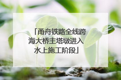 甬舟铁路全线跨海大桥主塔墩进入水上施工阶段