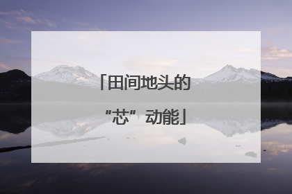 田间地头的“芯”动能