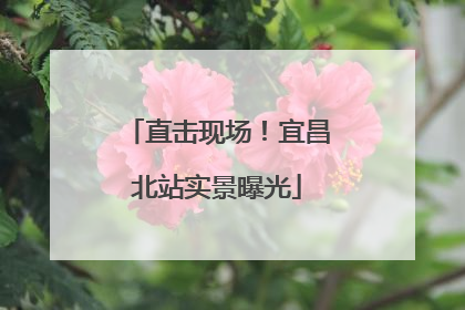 直击现场！宜昌北站实景曝光