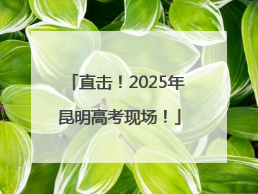 直击！2025年昆明高考现场！