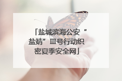 盐城滨海公安“盐靖”Ⅲ号行动织密夏季安全网