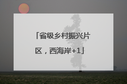 省级乡村振兴片区，西海岸+1