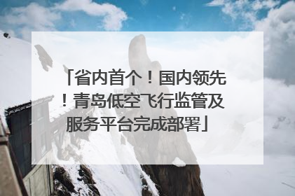 省内首个！国内领先！青岛低空飞行监管及服务平台完成部署