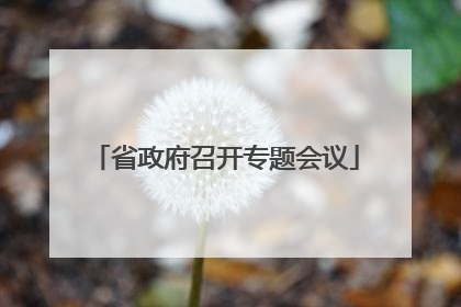 省政府召开专题会议