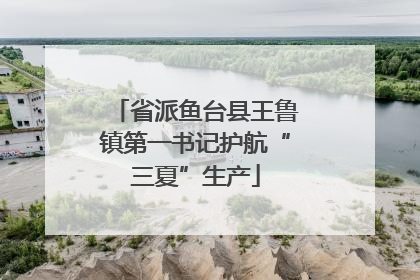 省派鱼台县王鲁镇第一书记护航“三夏”生产