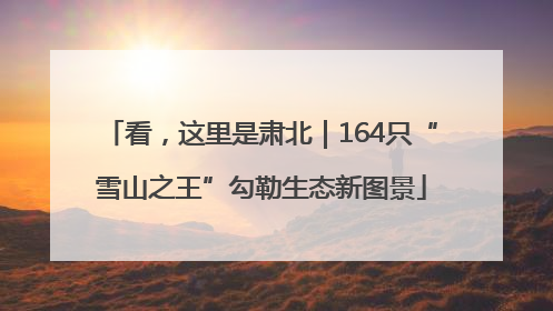 看，这里是肃北｜164只“雪山之王”勾勒生态新图景