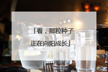 看，那粒种子正在向阳成长