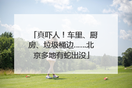 真吓人！车里、厨房、垃圾桶边……北京多地有蛇出没