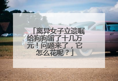 离异女子立遗嘱给狗狗留了十几万元！问题来了，它怎么花呢？
