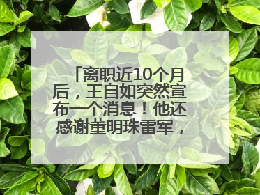 离职近10个月后，王自如突然宣布一个消息！他还感谢董明珠雷军，回应“没看过格力工资条”：真的不那么重要！