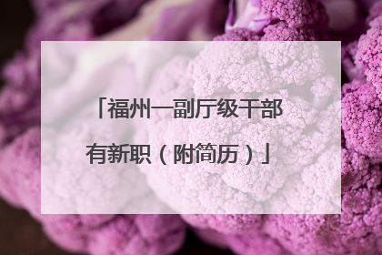 福州一副厅级干部有新职（附简历）