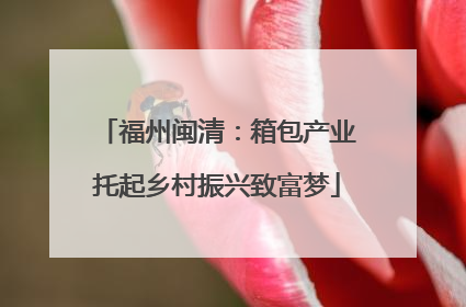 福州闽清：箱包产业托起乡村振兴致富梦