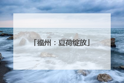 福州：夏荷绽放