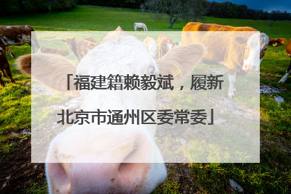 福建籍赖毅斌，履新北京市通州区委常委